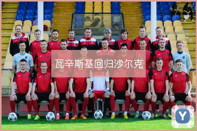 瓦辛斯基回归沙尔克
